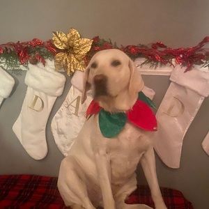 Meet your Posher, Destinee